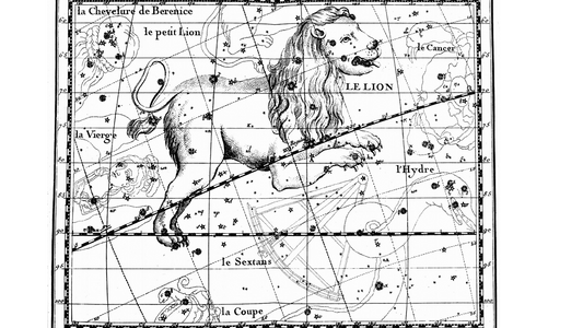 ascendant lion