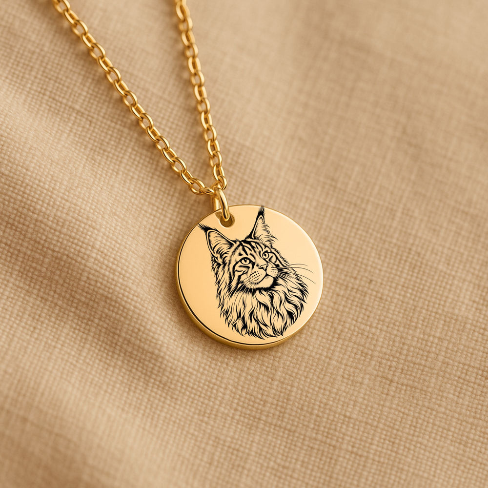 Collier Maine Coon Personnalisé – Prénom Gravé