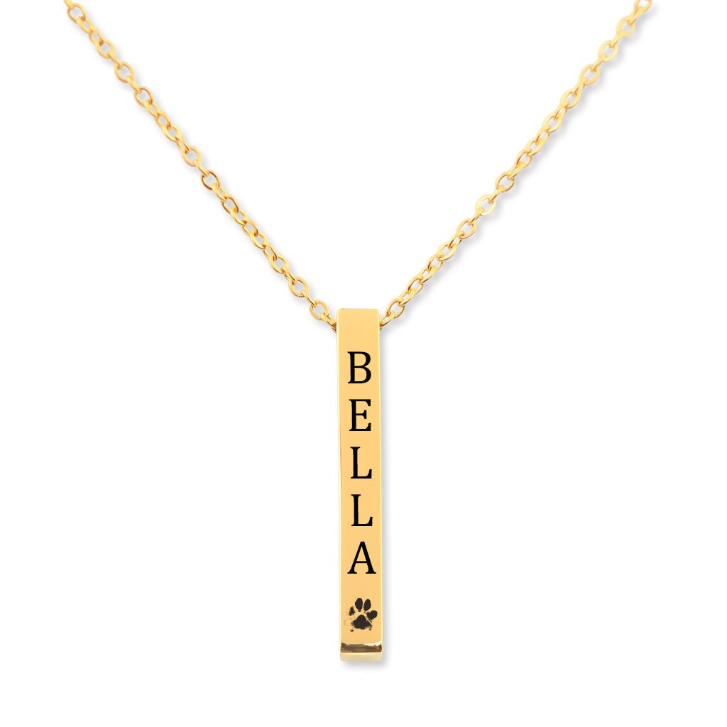 Collier nom d'animal de compagnie avec patte, gravure personnalisée — vue 1