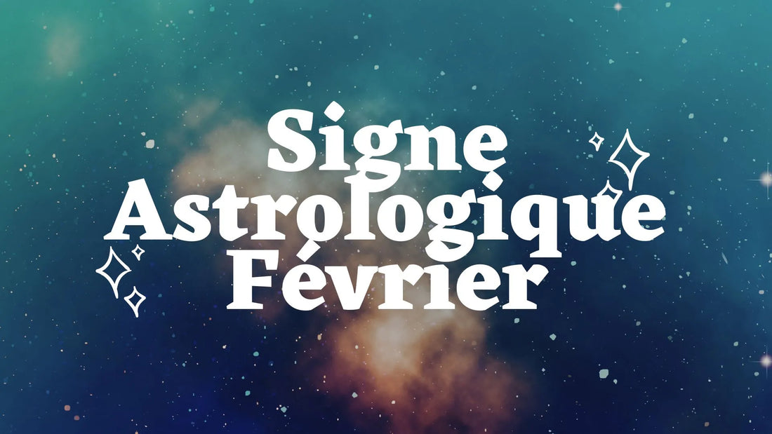 Signe astrologique de février