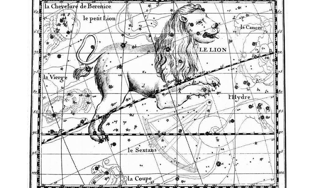 ascendant lion
