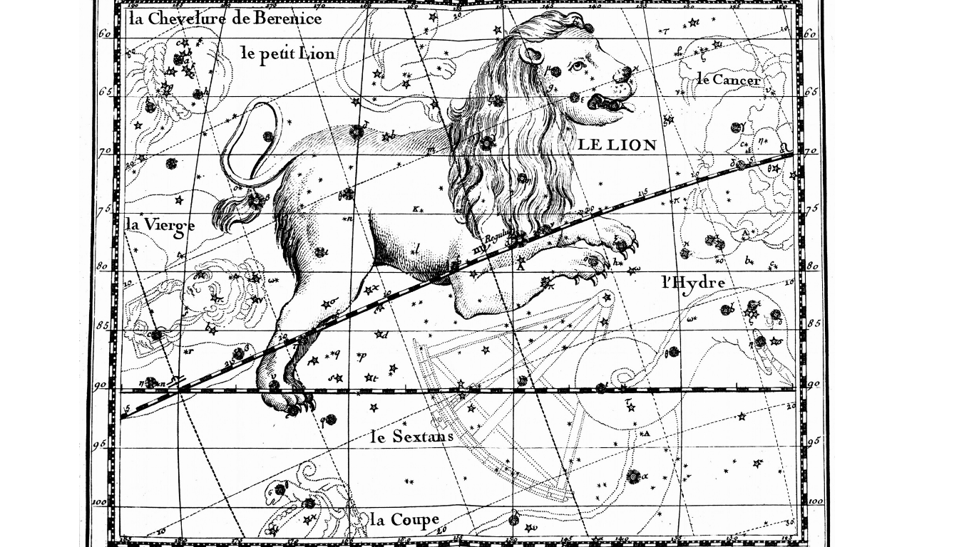 ascendant lion