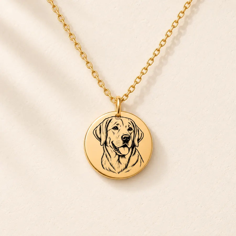 Collier Labrador Personnalisé, Prénom Gravé