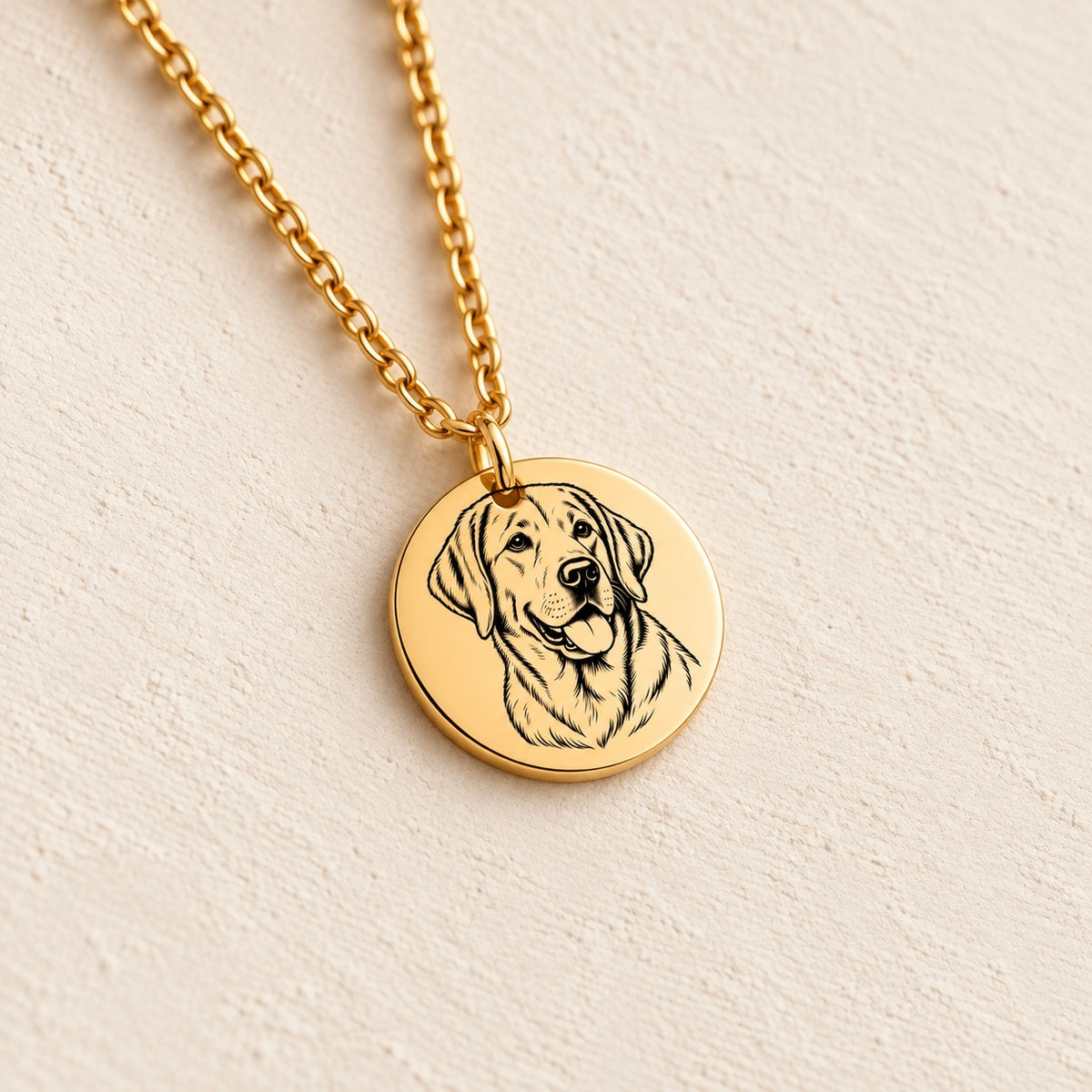 Détail du portrait de Labrador gravé sur la médaille ronde dorée, sur fond ivoire.