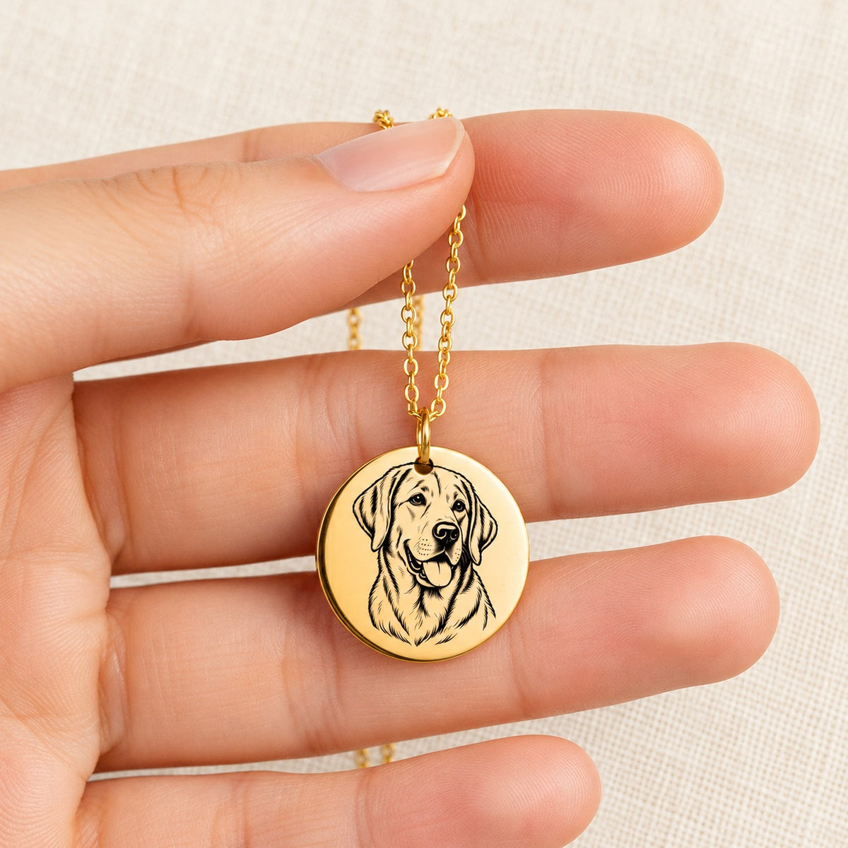 Collier Labrador doré tenu entre les doigts, détail de la médaille et de sa gravure.