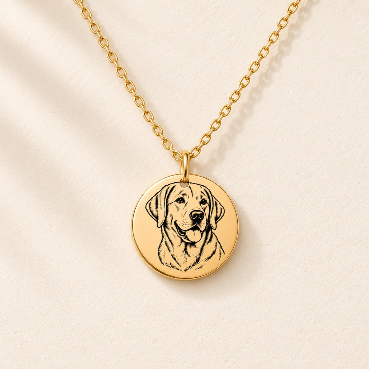 Collier Labrador doré avec portrait de Labrador gravé, sur fond ivoire.