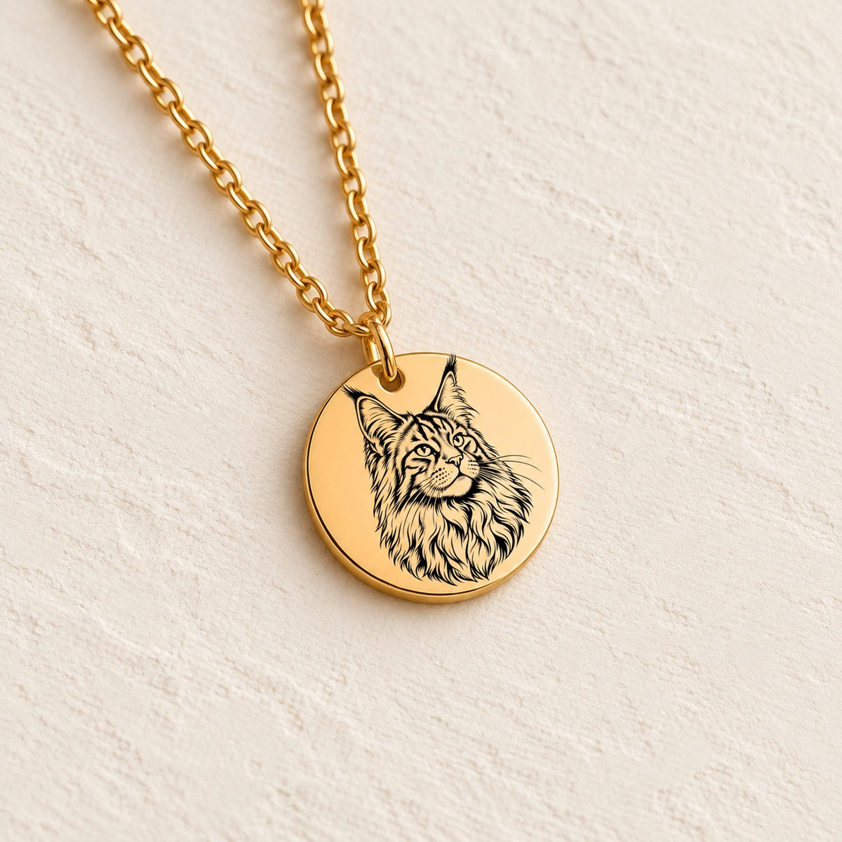 Détail du portrait de Maine Coon gravé sur la médaille ronde dorée, sur fond ivoire.