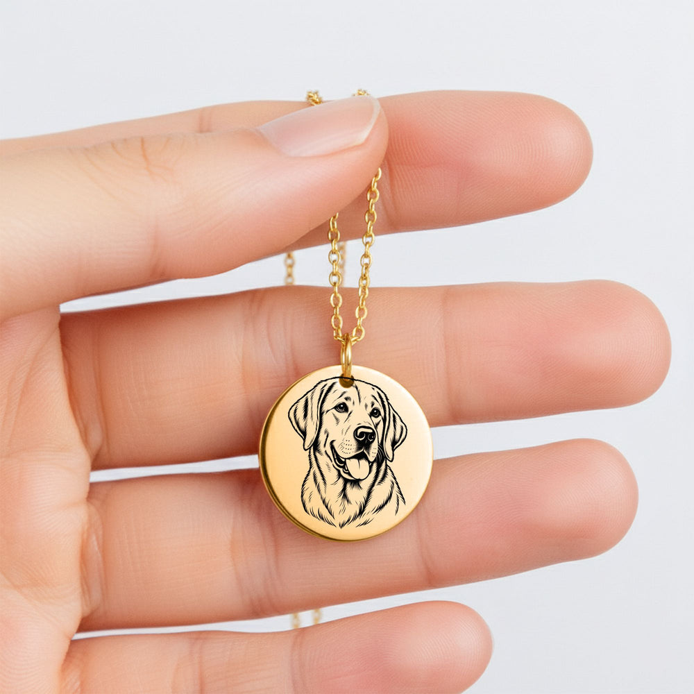 Collier Labrador Personnalisé – Prénom Gravé