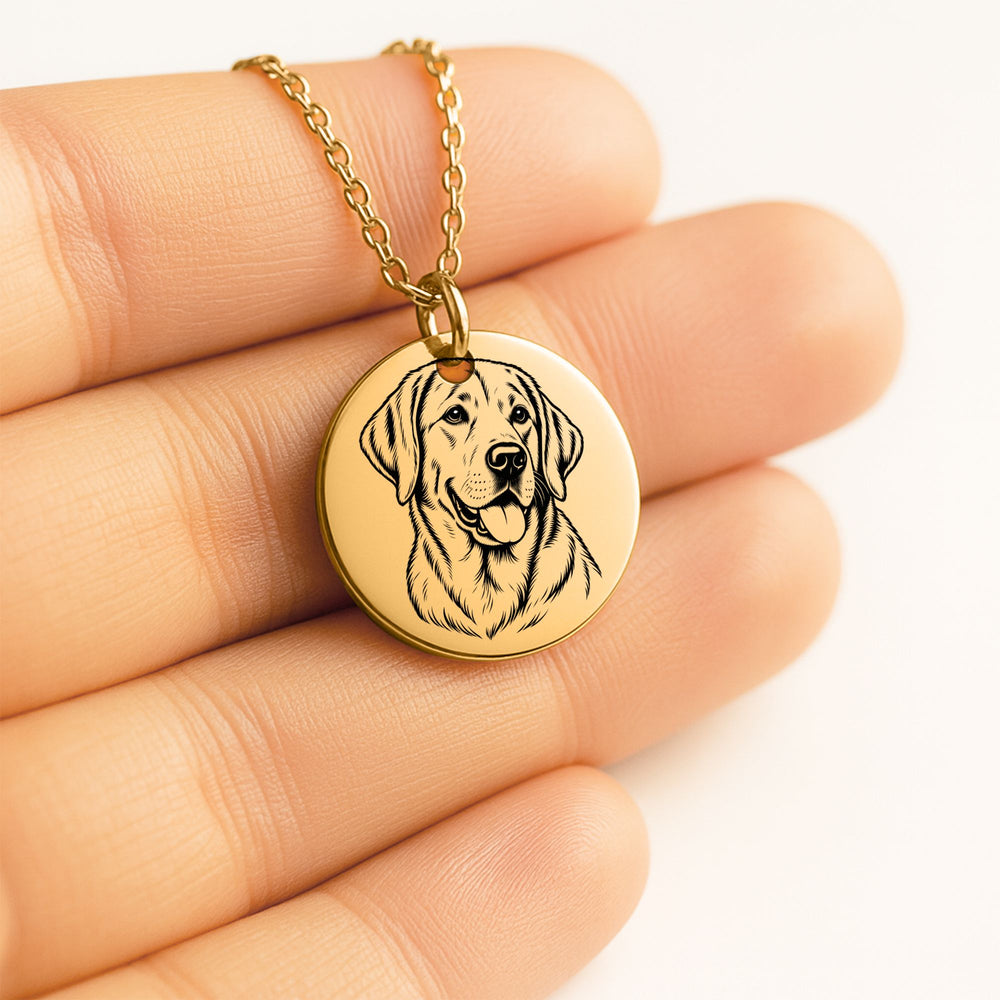 Collier Labrador Personnalisé – Prénom Gravé