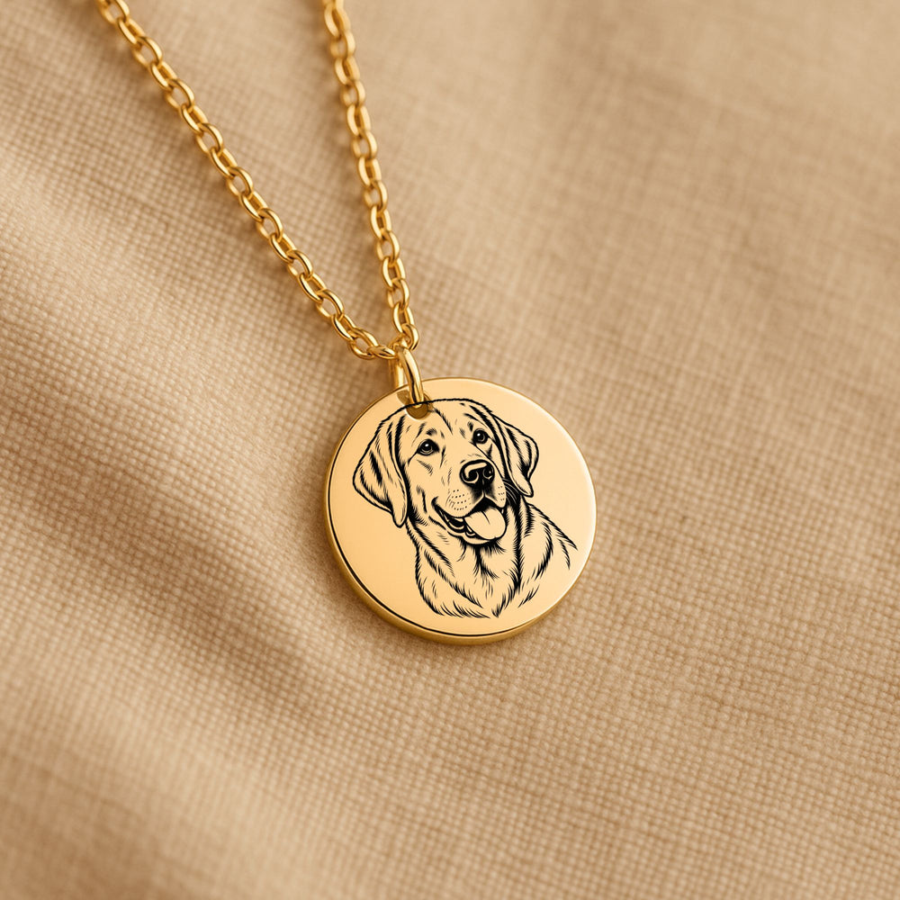 Collier Labrador Personnalisé – Prénom Gravé