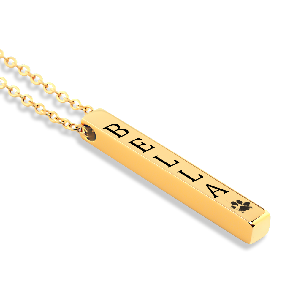 Collier nom d'animal de compagnie avec patte, gravure personnalisée — vue 2