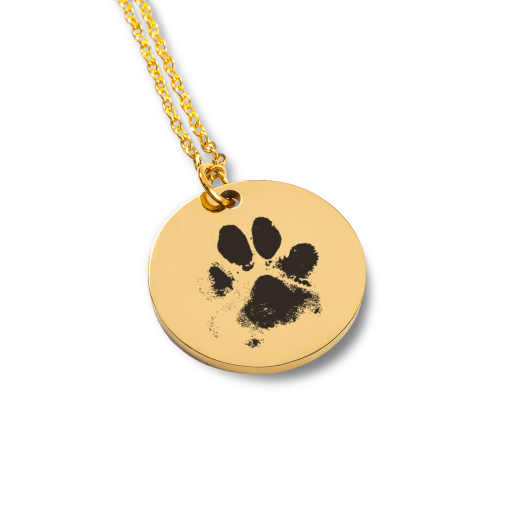 Collier empreinte de patte personnalisé gravé d'après photo — vue 2