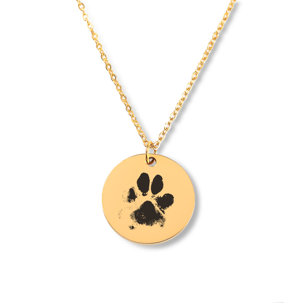 Collier empreinte de patte personnalisé gravé d'après photo — vue 1